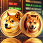 iamdoge2 profile picture