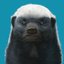 ratel profile picture