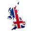 teamuksupport profile picture